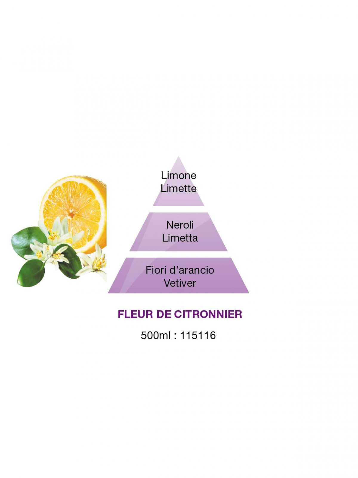 Fleur_de_Citronnier_150dpi12