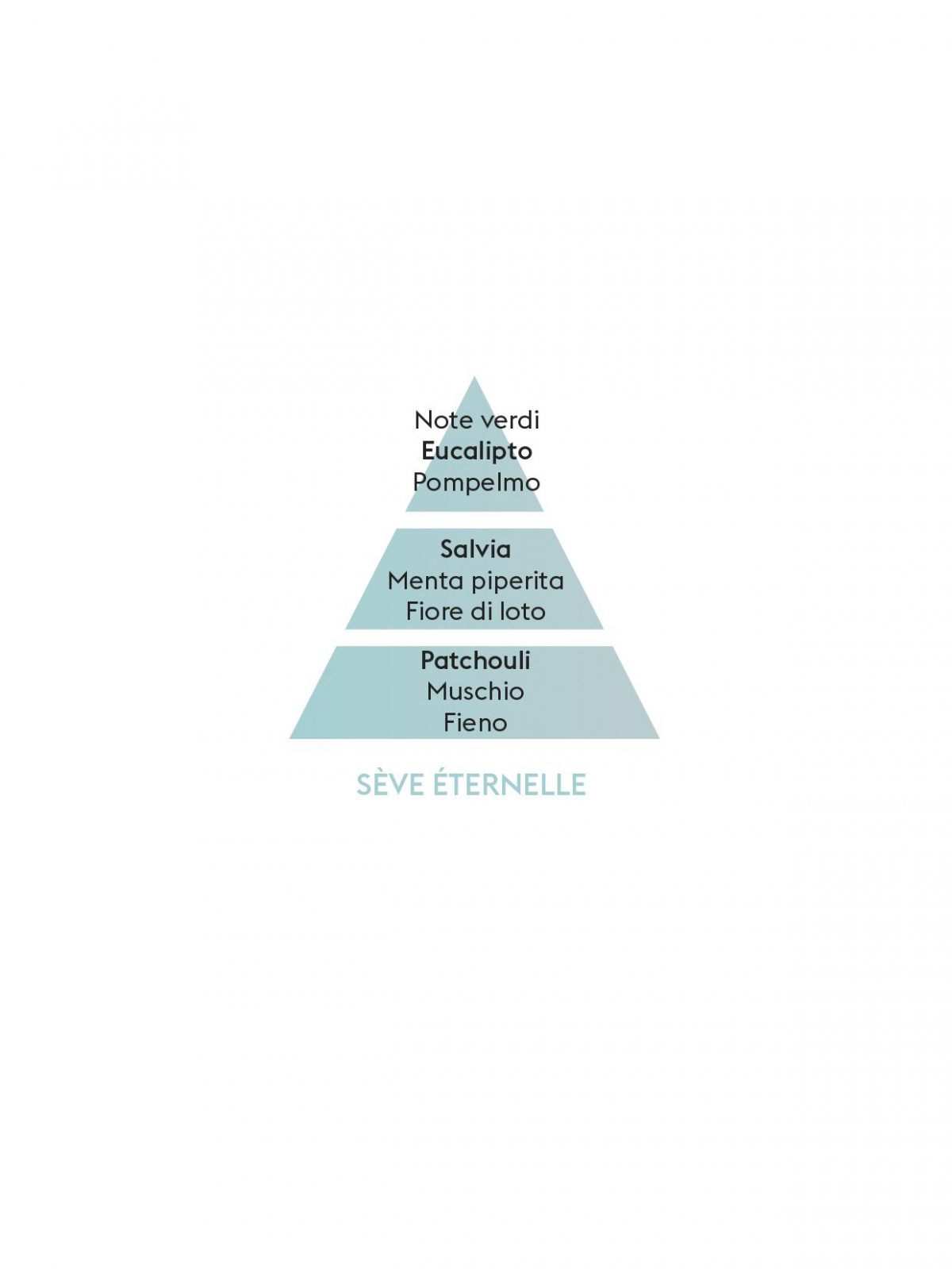 SEVE_ETERNELLE_IT